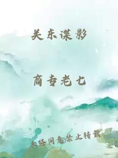 关东谍影